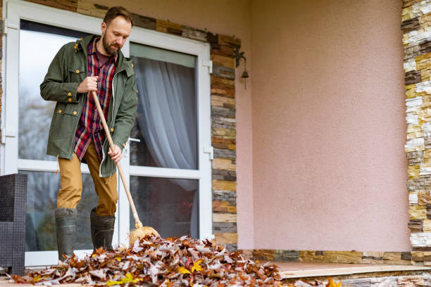 Best Trash Removal Near Me  in Fayetteville, AL